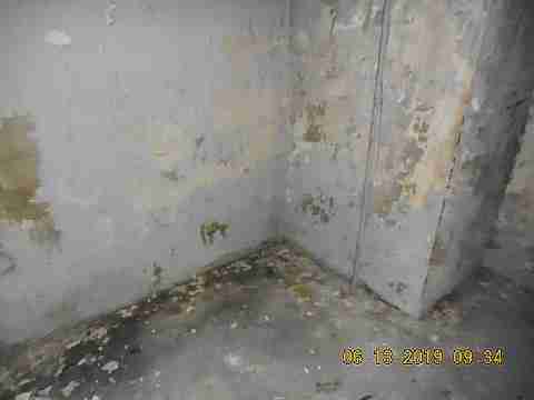 15010 Freeland (30)_m.jpg